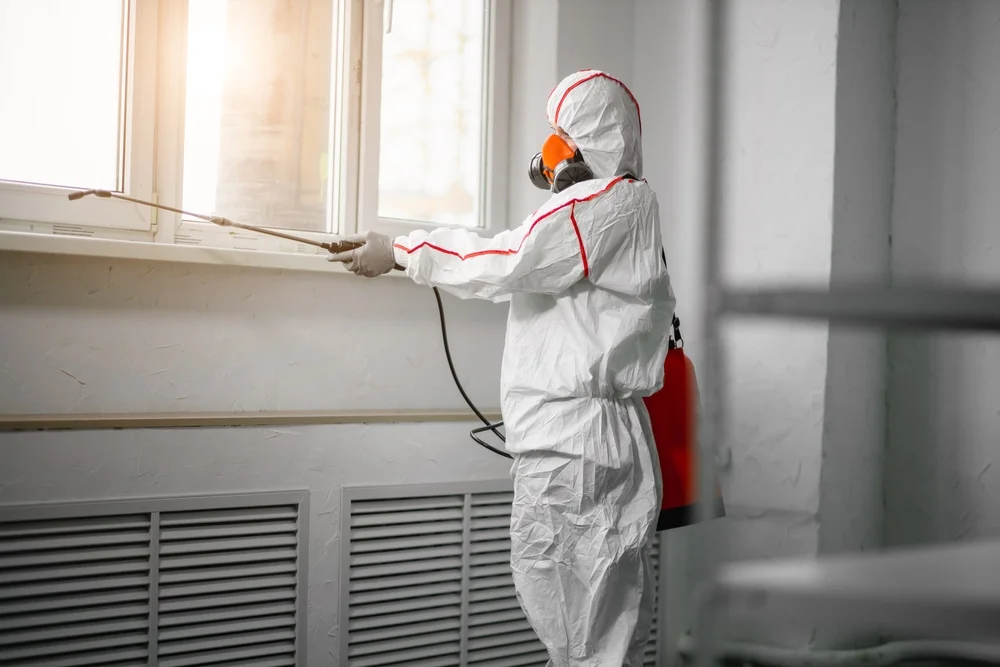 Professional mold remediation services in Zephyr Cove, NV